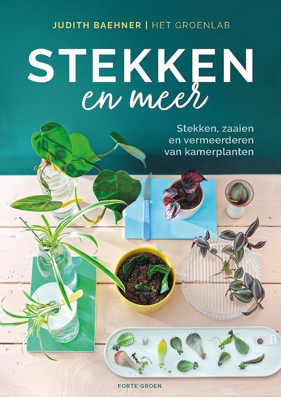 Stekken en meer