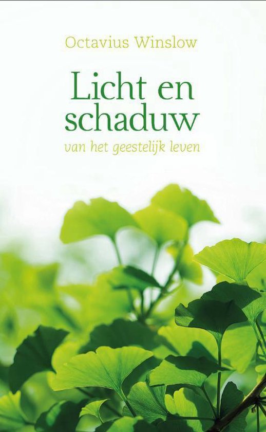 Licht en schaduw