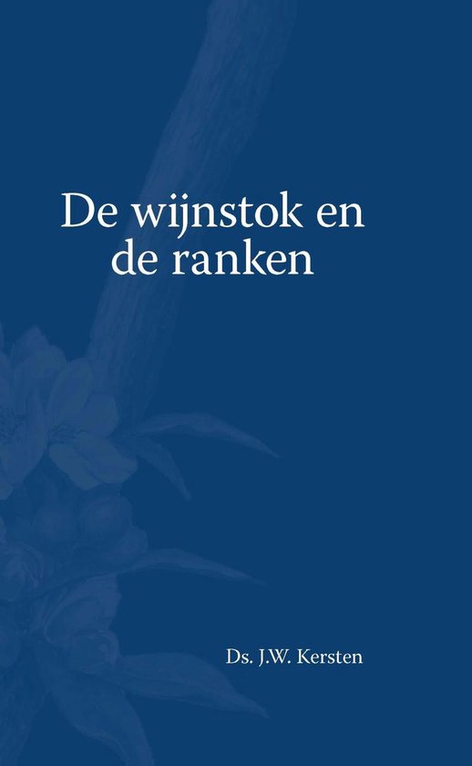 De Wijnstok en de ranken