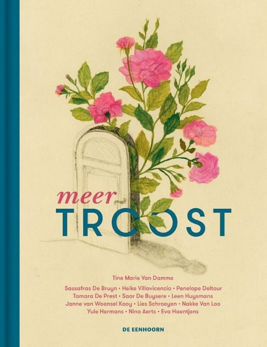 Troost 2 - Meer troost