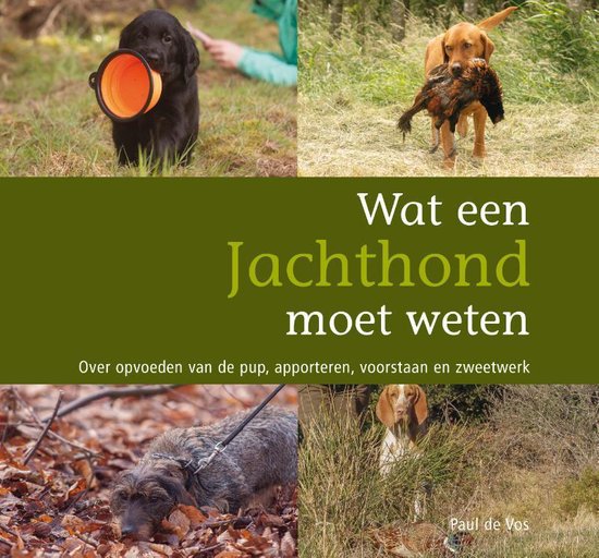 Wat een jachthond moet weten