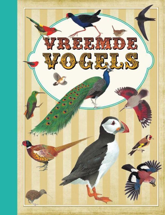 Vreemde vogels