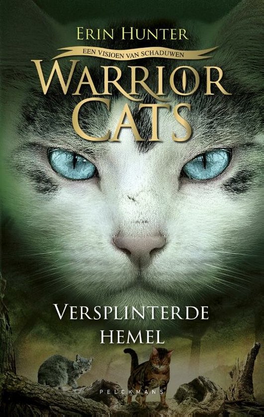 Warrior Cats - Een visioen van schaduwen: Versplinterde hemel