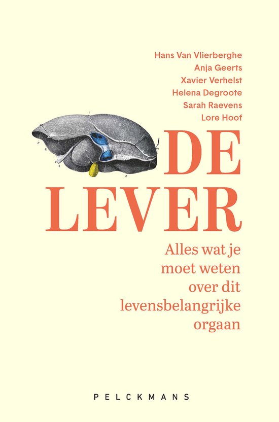 De lever