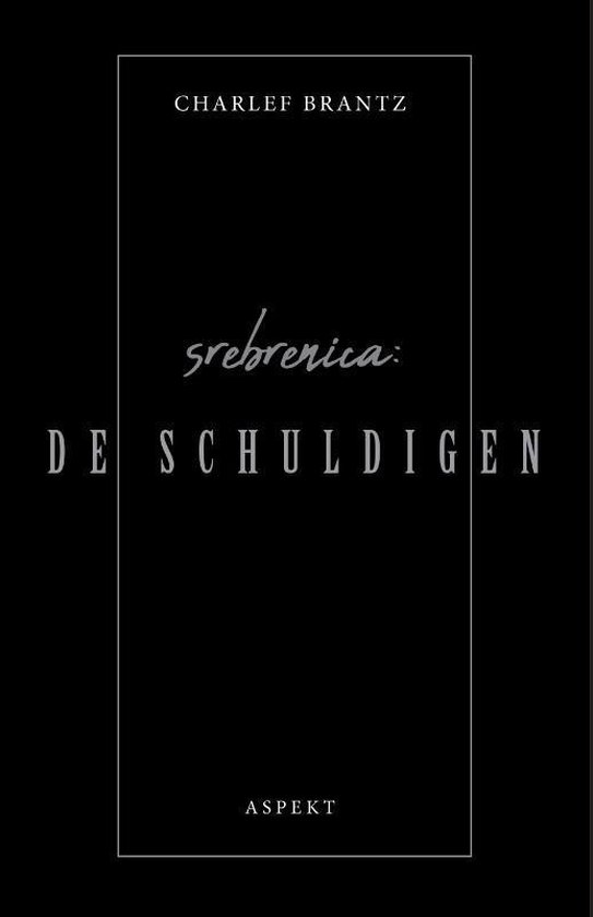 Srebrenica: De Schuldigen