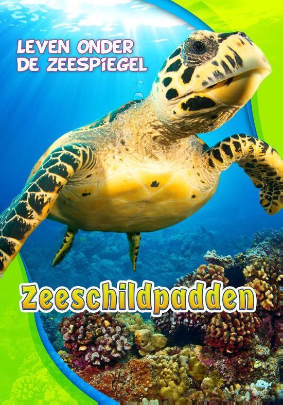 Leven onder de zeespiegel - Zeeschildpadden