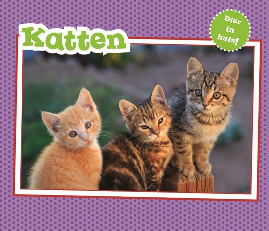 Vertel Maar - Katten