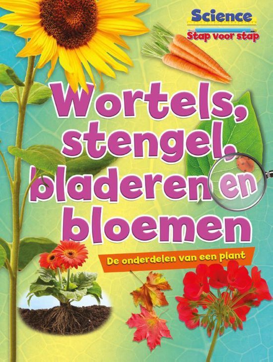 science stap voor stap - Wortels, stengels, bladeren en bloemen