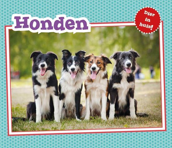 Dier in Huis - Honden