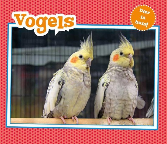 Dier in Huis - Vogels