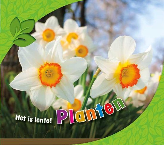 Het is lente! - Planten