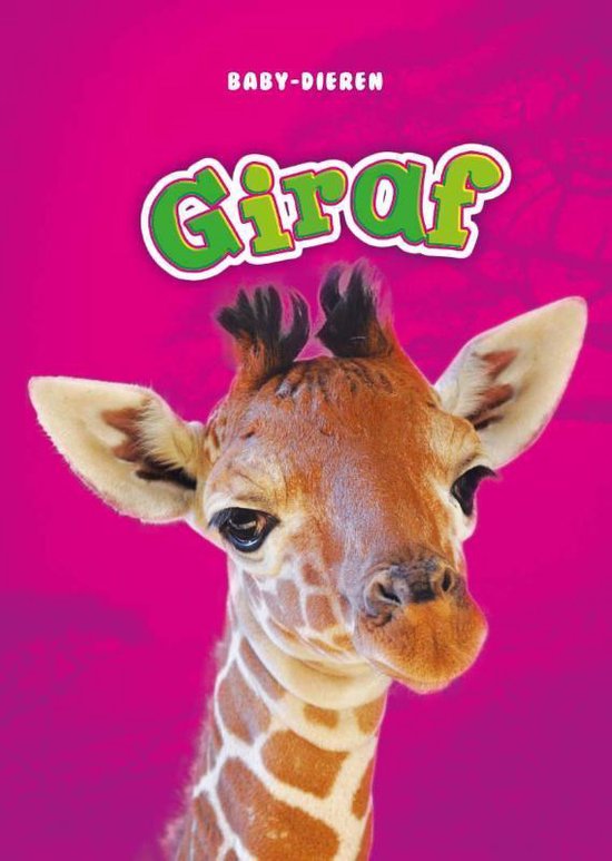 Baby-dieren - Giraf