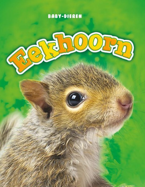 Baby-dieren - Eekhoorn