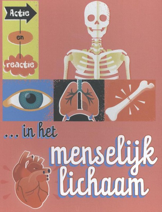 Actie en reactie - Actie en reactie in het menselijk lichaam