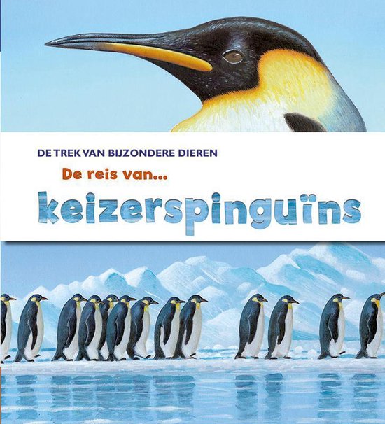 De trek van bijzondere dieren - De reis van keizerspinguïns