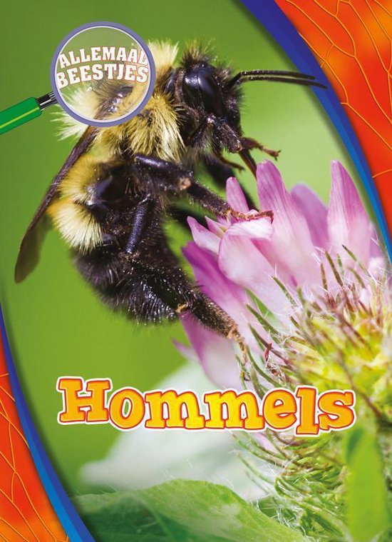 Allemaal beestjes - Hommels