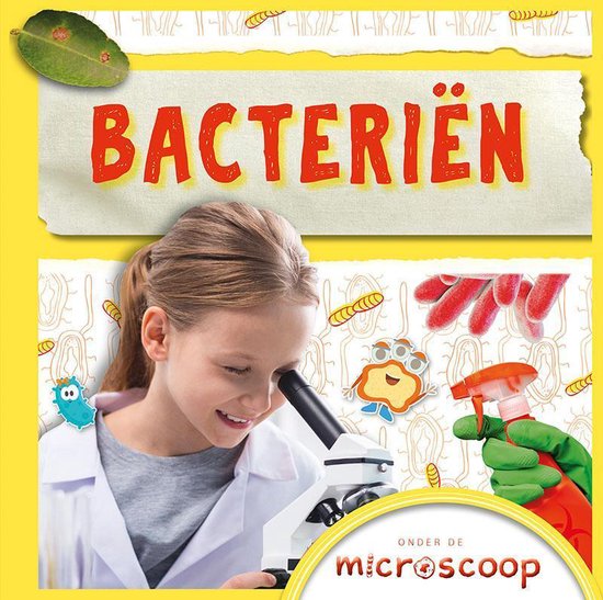 Onder de microscoop - Bacteriën