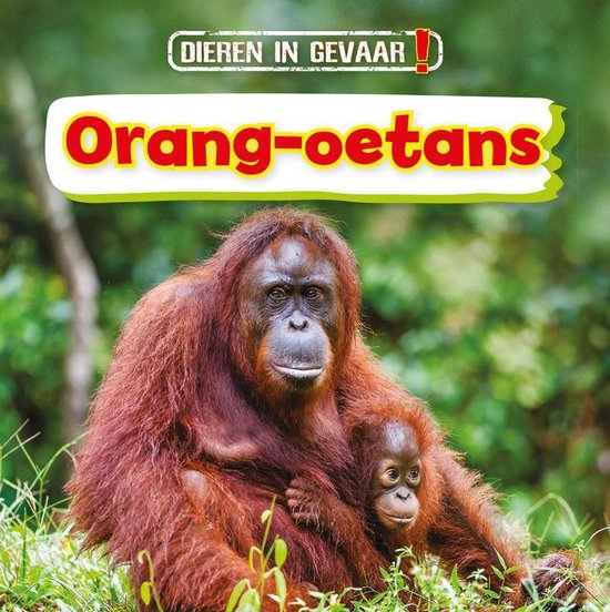 Dieren in gevaar! - Orang-oetans