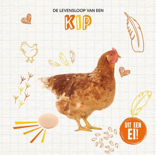 Uit een ei! - De levensloop van een kip