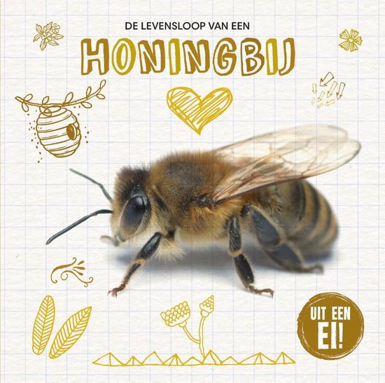 Uit een ei! - De levensloop van de honingbij