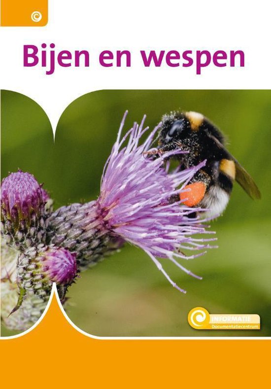 Informatie 81 - Bijen en wespen