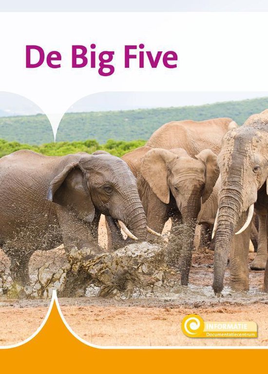 Informatie 124 - De Big Five