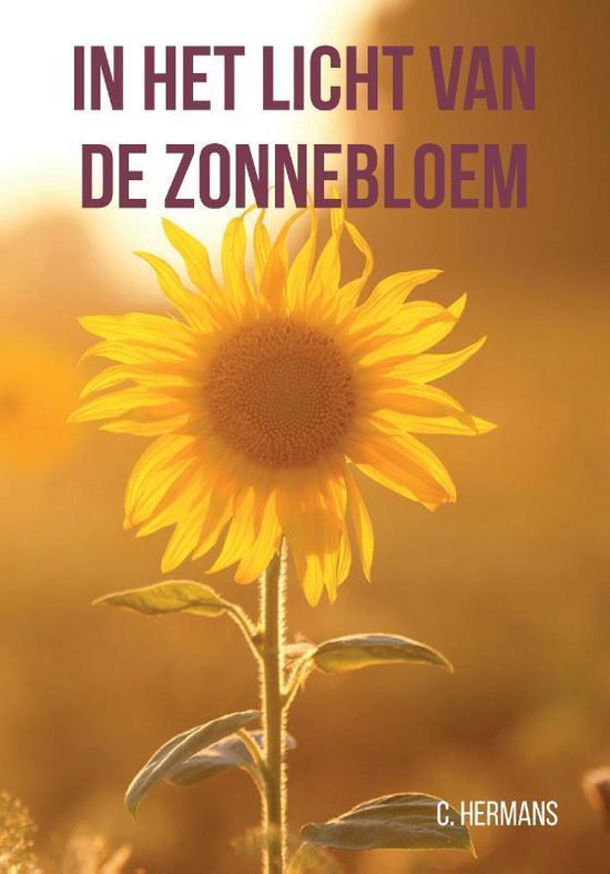 In het licht van de zonnebloem