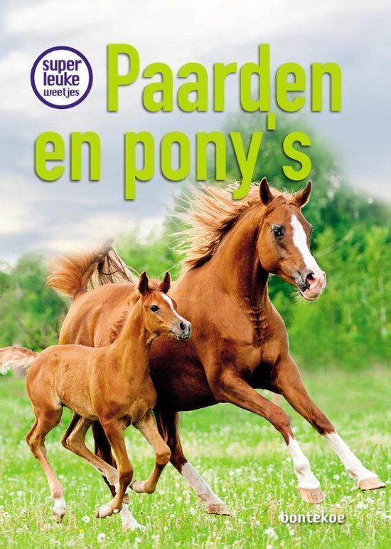 Superleuke weetjes - Superleuke weetjes over paarden en pony’s