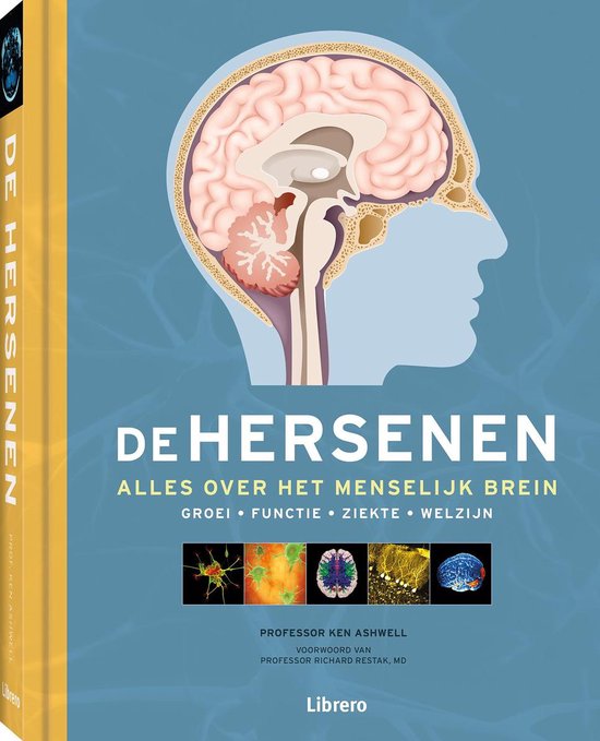 De Hersenen