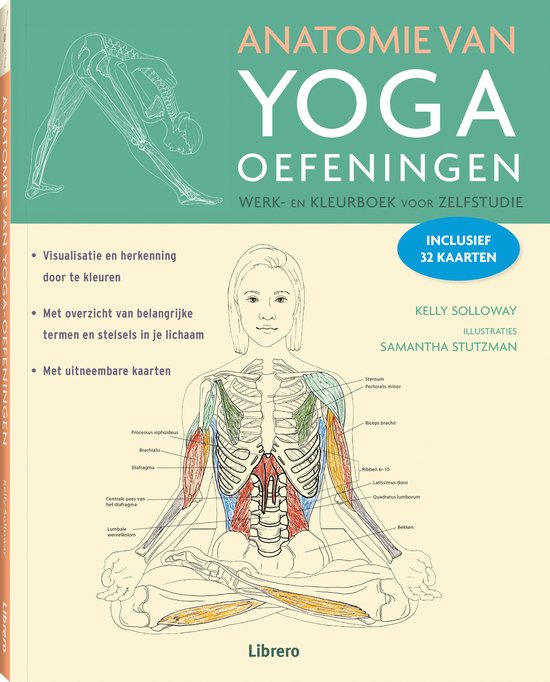 Anatomie van yoga oefeningen werk- en kleurboek