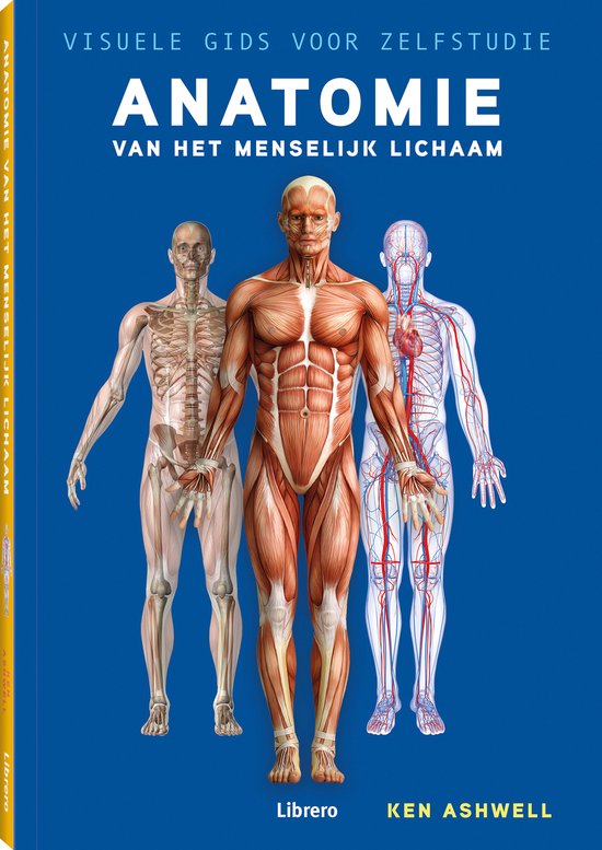 Anatomie van het menselijk lichaam