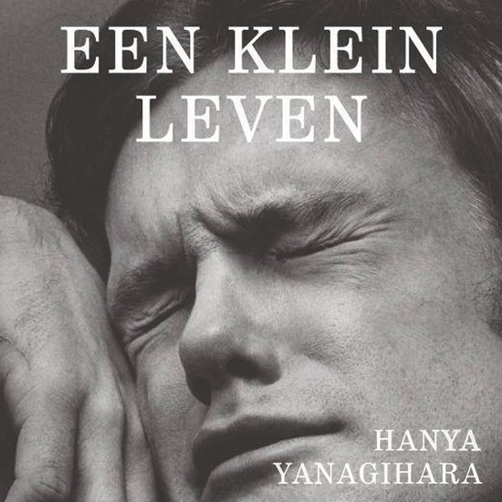 Een klein leven