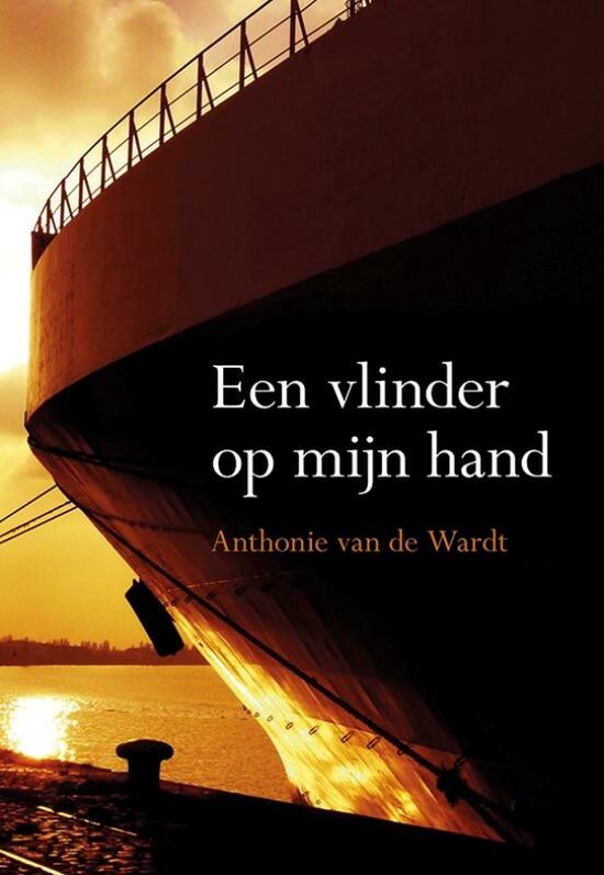 Een vlinder op mijn hand