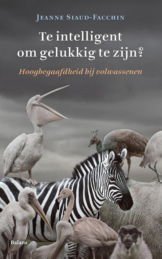 Te intelligent om gelukkig te zijn?