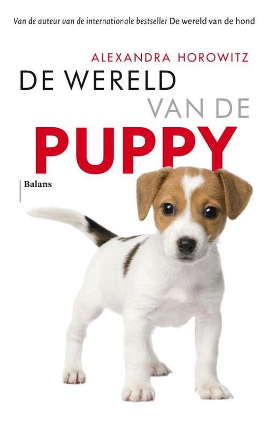 De wereld van de puppy