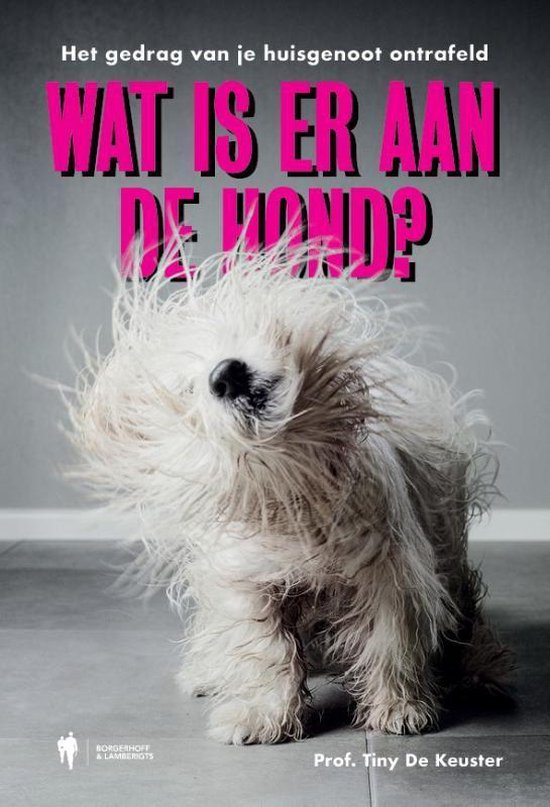 Wat is er aan de hond ?