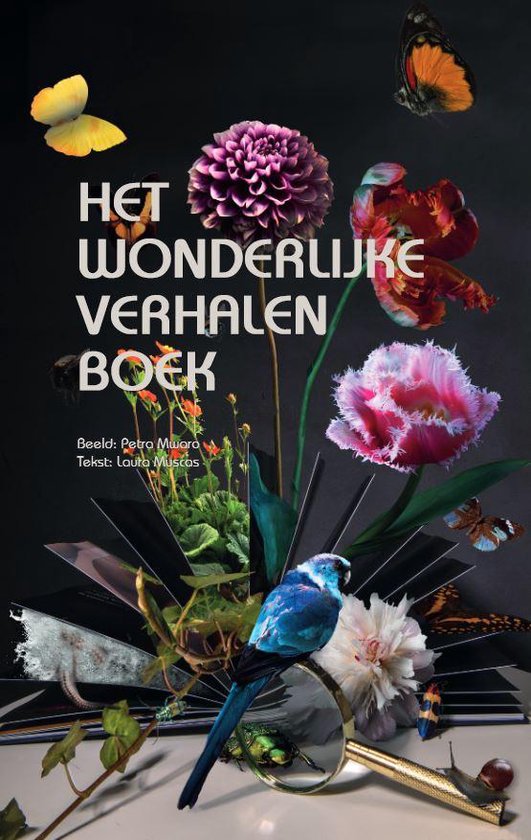 Het wonderlijke verhalenboek