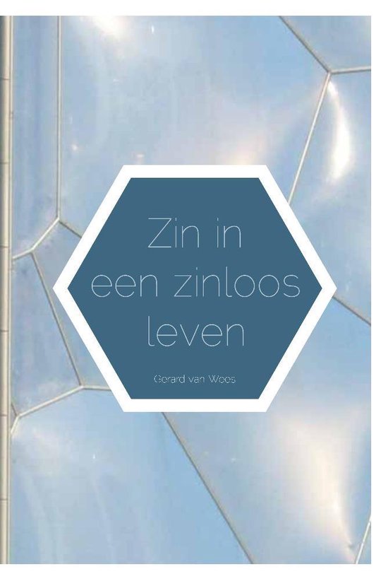 Zin in een zinloos leven