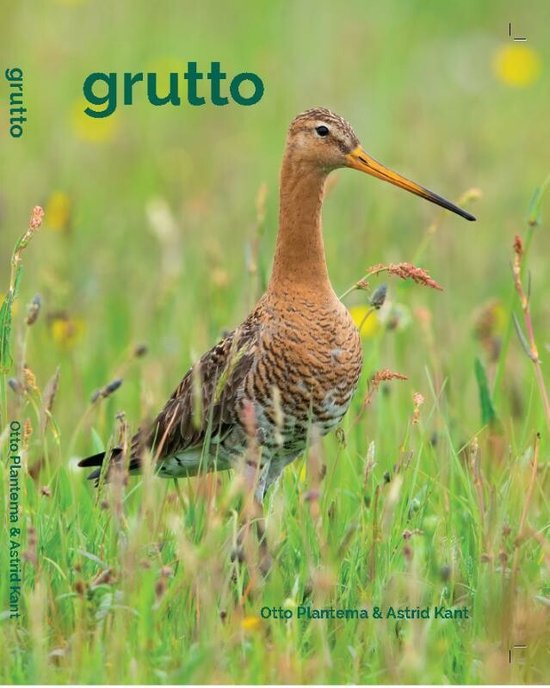 Grutto