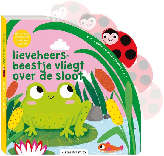 Kleine beestjes - Lieveheersbeestje vliegt over de sloot