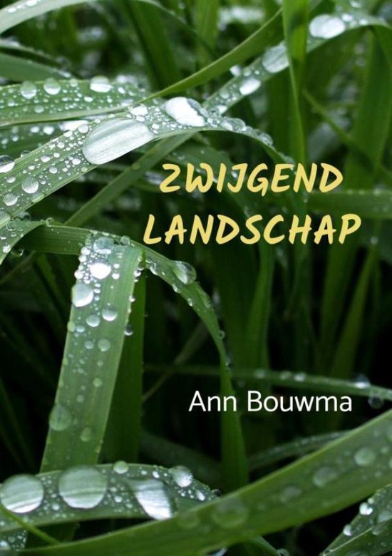 Zwijgend landschap