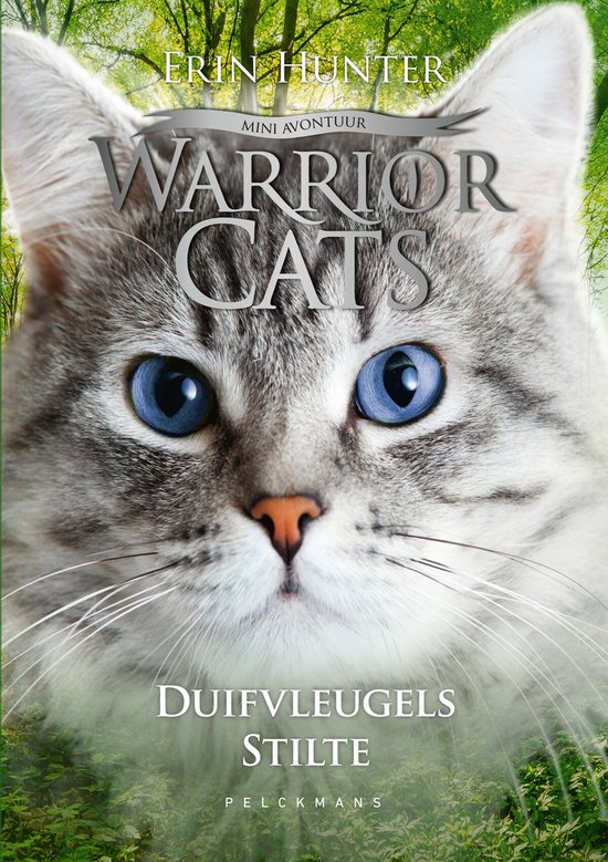 WarriorCats Mini Avontuur - Duifvleugels stilte