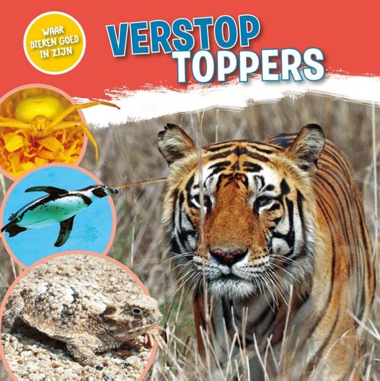 Waar dieren goed in zijn! - Verstoptoppers