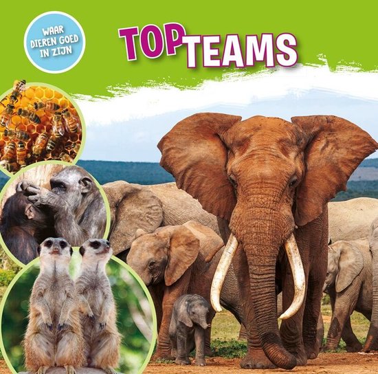 Waar dieren goed in zijn! - Topteams