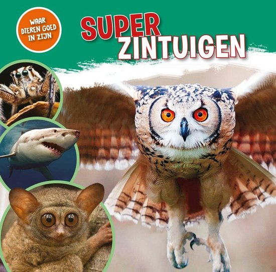 Waar dieren goed in zijn! - Superzintuigen