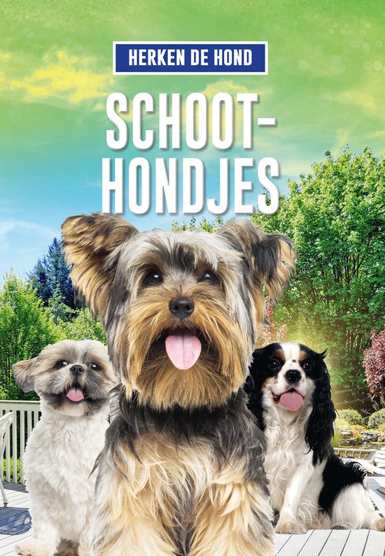 Herken de hond  -   Schoothondjes