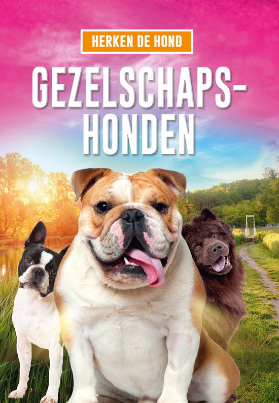 Herken de hond  -   Gezelschapshonden