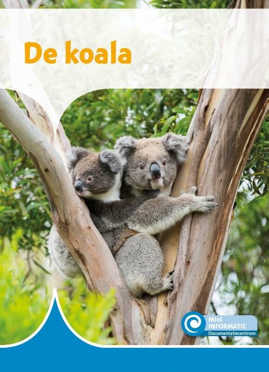 Mini Informatie 486 - De koala