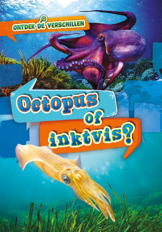 Ontdek de verschillen - Octopus of inktvis?