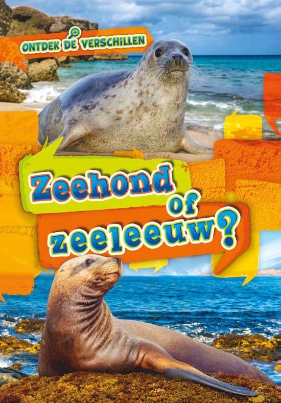 Ontdek de verschillen - Zeehond of zeeleeuw?